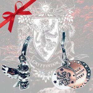 ⚡ NWOT Hedwig & Gryffindor Charms – Harry Potter ✨